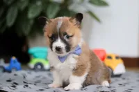 processed/b6c02ef9-7021-4ee1-ac22-ec5a33c84260/listing/66e04e3a-c93b-4d7f-96d4-0eddd76d2847/3ea4c698-e060-4e67-acdb-d84905194042