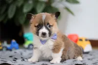 processed/b6c02ef9-7021-4ee1-ac22-ec5a33c84260/listing/66e04e3a-c93b-4d7f-96d4-0eddd76d2847/43220e31-88b7-40c9-80cd-24685602470d