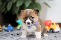 processed/b6c02ef9-7021-4ee1-ac22-ec5a33c84260/listing/66e04e3a-c93b-4d7f-96d4-0eddd76d2847/fc149307-c28d-4437-abae-3c922caf7167