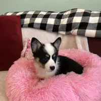 processed/b6c6937e-a8de-4fc9-8df5-23c15d1f4ef8/facility/0800548f-2860-42f9-8c7c-7598f952f295