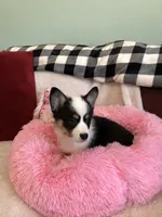 processed/b6c6937e-a8de-4fc9-8df5-23c15d1f4ef8/facility/0800548f-2860-42f9-8c7c-7598f952f295