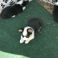 processed/b6c6937e-a8de-4fc9-8df5-23c15d1f4ef8/facility/0d9216cd-8f23-44e8-917c-913a075052a7