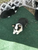 processed/b6c6937e-a8de-4fc9-8df5-23c15d1f4ef8/facility/0d9216cd-8f23-44e8-917c-913a075052a7