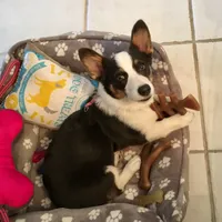 processed/b6c6937e-a8de-4fc9-8df5-23c15d1f4ef8/facility/141ad0ad-9292-4a36-9f6d-9a1f5720c747