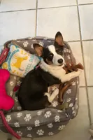 processed/b6c6937e-a8de-4fc9-8df5-23c15d1f4ef8/facility/141ad0ad-9292-4a36-9f6d-9a1f5720c747