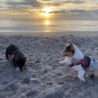 processed/b6c6937e-a8de-4fc9-8df5-23c15d1f4ef8/facility/30d01dd3-9eaa-4c97-9e98-abf7b9cca662