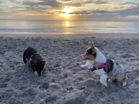 processed/b6c6937e-a8de-4fc9-8df5-23c15d1f4ef8/facility/30d01dd3-9eaa-4c97-9e98-abf7b9cca662