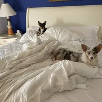 processed/b6c6937e-a8de-4fc9-8df5-23c15d1f4ef8/facility/49716d98-473b-4a1c-9f6a-b77c672d935c