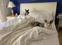 processed/b6c6937e-a8de-4fc9-8df5-23c15d1f4ef8/facility/49716d98-473b-4a1c-9f6a-b77c672d935c