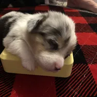 processed/b6c6937e-a8de-4fc9-8df5-23c15d1f4ef8/facility/4cb21617-d9f4-43cb-8efa-b296ec47a53b