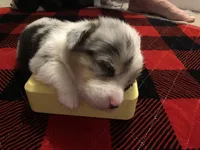 processed/b6c6937e-a8de-4fc9-8df5-23c15d1f4ef8/facility/4cb21617-d9f4-43cb-8efa-b296ec47a53b