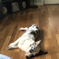 processed/b6c6937e-a8de-4fc9-8df5-23c15d1f4ef8/facility/624b463f-3593-4799-9618-d8cbfb5dfb9c