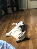 processed/b6c6937e-a8de-4fc9-8df5-23c15d1f4ef8/facility/624b463f-3593-4799-9618-d8cbfb5dfb9c