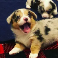 processed/b6c6937e-a8de-4fc9-8df5-23c15d1f4ef8/facility/9fb8d73c-893d-4a79-ae0a-ce1f8d4f8ddb