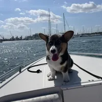 processed/b6c6937e-a8de-4fc9-8df5-23c15d1f4ef8/facility/e9bb8fe4-cd3d-4959-aa7b-759b538fd3c1