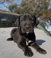 processed/b6cb7583-7e9c-46d6-9d6d-50c92aae8075/listing/bb0f41e5-53cf-4db8-9547-ad056067b752/32539713-51b9-4102-beb6-1c98b9e740cb