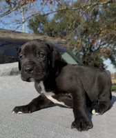 processed/b6cb7583-7e9c-46d6-9d6d-50c92aae8075/listing/dc8a9673-c31b-4779-84ce-016916d3cd1e/d880ff30-64cc-476a-bb71-bc863ec8ce2a