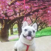 processed/b6cb7858-fed2-4575-bc9a-84e479fb98f1/facility/20066a89-4f88-42df-9525-6f1289cf73b3