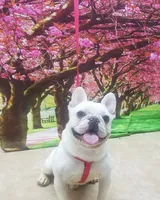 processed/b6cb7858-fed2-4575-bc9a-84e479fb98f1/facility/20066a89-4f88-42df-9525-6f1289cf73b3