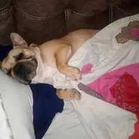 processed/b6cb7858-fed2-4575-bc9a-84e479fb98f1/facility/38f8b352-587b-4b55-a99d-3c41401ec20c