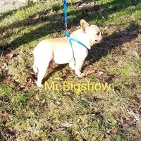 processed/b6cb7858-fed2-4575-bc9a-84e479fb98f1/facility/54f0ddbc-4d89-4f58-b101-5eabfce818b7