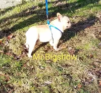 processed/b6cb7858-fed2-4575-bc9a-84e479fb98f1/facility/54f0ddbc-4d89-4f58-b101-5eabfce818b7