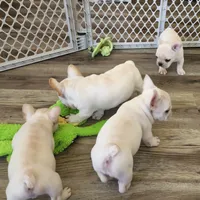 processed/b6cb7858-fed2-4575-bc9a-84e479fb98f1/facility/6334ebab-b0d8-493c-affc-1647d76828db