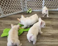 processed/b6cb7858-fed2-4575-bc9a-84e479fb98f1/facility/6334ebab-b0d8-493c-affc-1647d76828db