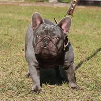 processed/b6cb7858-fed2-4575-bc9a-84e479fb98f1/facility/92363ca8-9469-460d-8482-11e32381916f