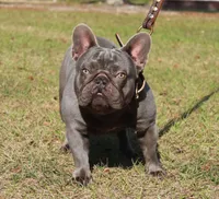 processed/b6cb7858-fed2-4575-bc9a-84e479fb98f1/facility/92363ca8-9469-460d-8482-11e32381916f