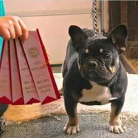 processed/b6cb7858-fed2-4575-bc9a-84e479fb98f1/facility/940e9083-e8fa-4a9d-9a02-03c2fd91deed