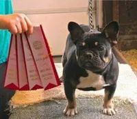 processed/b6cb7858-fed2-4575-bc9a-84e479fb98f1/facility/940e9083-e8fa-4a9d-9a02-03c2fd91deed