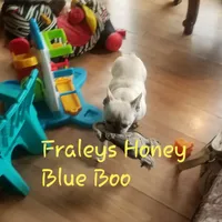 processed/b6cb7858-fed2-4575-bc9a-84e479fb98f1/facility/a7327ccd-54d0-4e5c-a18f-ee5e9de4e2a4