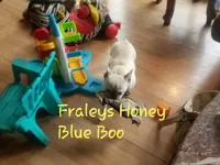 processed/b6cb7858-fed2-4575-bc9a-84e479fb98f1/facility/a7327ccd-54d0-4e5c-a18f-ee5e9de4e2a4