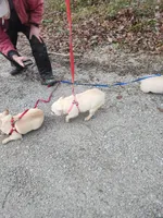 processed/b6cb7858-fed2-4575-bc9a-84e479fb98f1/listing/12e65e80-a87c-45de-bb27-eb6fa2a02be4/13f852db-4fe6-4c65-9c6a-ad2dd917b152