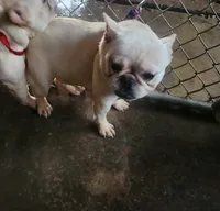 processed/b6cb7858-fed2-4575-bc9a-84e479fb98f1/listing/12e65e80-a87c-45de-bb27-eb6fa2a02be4/22794992-833c-433b-a667-c9fdadb18fab