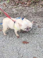 processed/b6cb7858-fed2-4575-bc9a-84e479fb98f1/listing/12e65e80-a87c-45de-bb27-eb6fa2a02be4/776c4d4e-f488-4cb8-88cc-e609c46b9fae