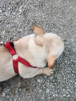 processed/b6cb7858-fed2-4575-bc9a-84e479fb98f1/listing/725809b2-c48d-44de-8ba3-c46f2cfec85d/f2ba1339-3a22-4b1e-bb7b-6fc98886b2ac