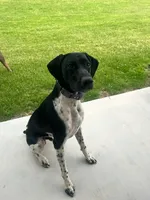 processed/b6cdcee1-e04a-409f-b0d8-2c85de481c11/listing/9626dbb7-32dd-454a-94da-64f83d893601/250ba89b-1d0a-4094-b1ef-f6ac15894dc1