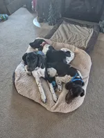 processed/b6cdcee1-e04a-409f-b0d8-2c85de481c11/listing/9626dbb7-32dd-454a-94da-64f83d893601/42882c1a-a81c-40c8-89ec-90bbcdedf694