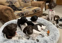 processed/b6cdcee1-e04a-409f-b0d8-2c85de481c11/listing/9626dbb7-32dd-454a-94da-64f83d893601/afe6a2f7-e609-421d-9a33-91b3d005a3e8