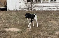 processed/b6cdcee1-e04a-409f-b0d8-2c85de481c11/listing/9626dbb7-32dd-454a-94da-64f83d893601/d3722586-d156-4f51-90fb-f00aa9905f50