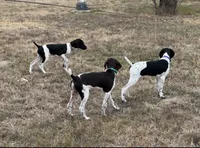 processed/b6cdcee1-e04a-409f-b0d8-2c85de481c11/listing/9626dbb7-32dd-454a-94da-64f83d893601/d60d2077-c713-4248-b62c-0a2506bd1725