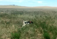 processed/b6cdcee1-e04a-409f-b0d8-2c85de481c11/listing/9626dbb7-32dd-454a-94da-64f83d893601/e56f0c04-2767-4315-a752-ec86c213e3b0