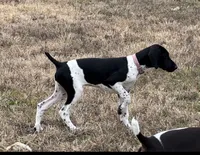 processed/b6cdcee1-e04a-409f-b0d8-2c85de481c11/listing/9626dbb7-32dd-454a-94da-64f83d893601/e5c2b044-cf4a-43e0-9871-caab1d422c35