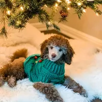 processed/b6e89b8d-7904-4a83-a70c-d6184ddb07fc/facility/0ac0ae08-8dd8-438c-9431-4e7e0b8d87de