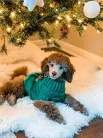 processed/b6e89b8d-7904-4a83-a70c-d6184ddb07fc/facility/0ac0ae08-8dd8-438c-9431-4e7e0b8d87de