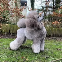 processed/b6e89b8d-7904-4a83-a70c-d6184ddb07fc/facility/15fdb3f5-23a0-4c62-85d1-d243f9eba235