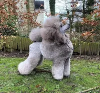 processed/b6e89b8d-7904-4a83-a70c-d6184ddb07fc/facility/15fdb3f5-23a0-4c62-85d1-d243f9eba235