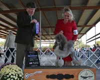 processed/b6e89b8d-7904-4a83-a70c-d6184ddb07fc/facility/2cdc96fc-7018-49ca-ab15-274eb08aba90